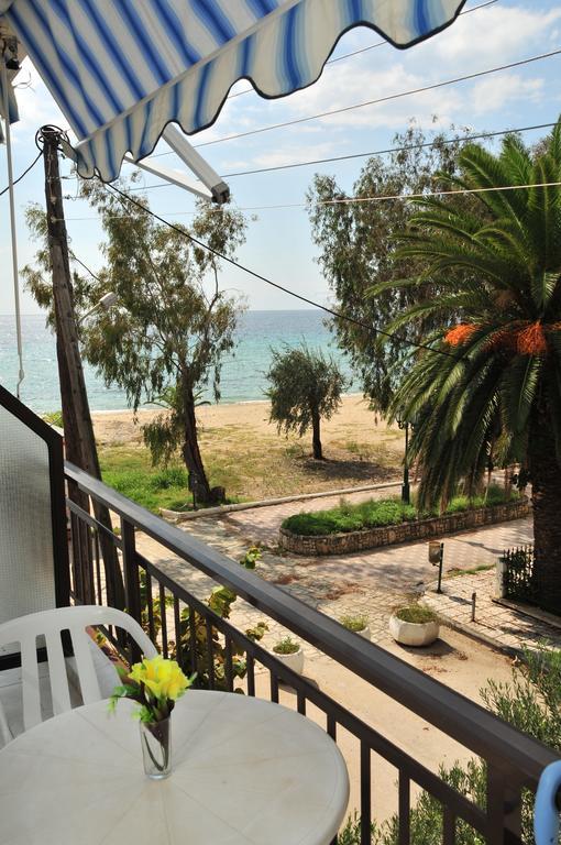 Seaside Studios Paralia Dionysiou Room photo